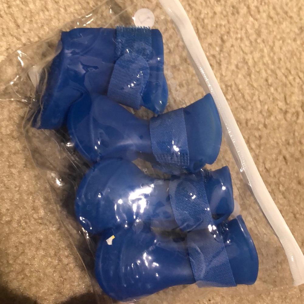 Dog Rainboots